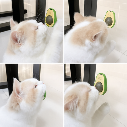 Avocado Catnip Dental Ball for Cats